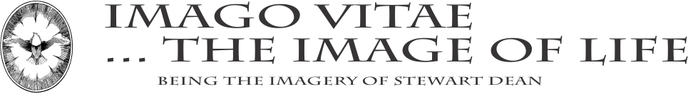 Imago Vitae....the Image of Life