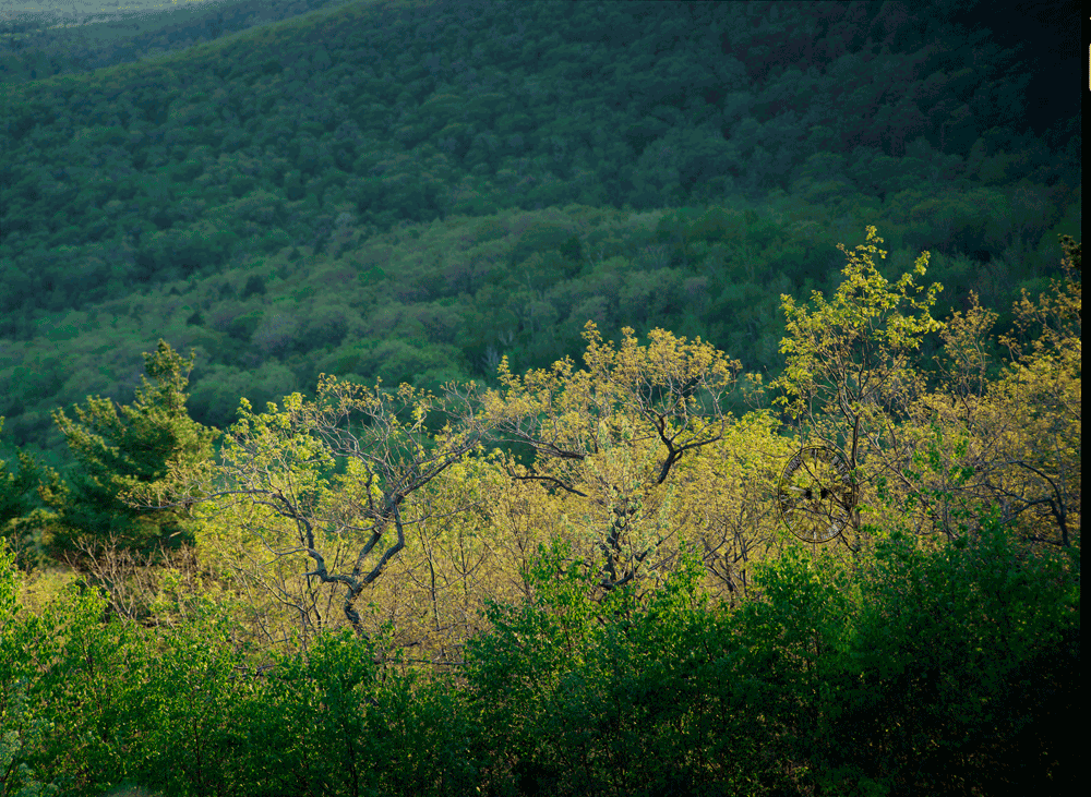 Spring Sun,

        looking across the Mead's Mountain House notch at Mount

        Guardian
