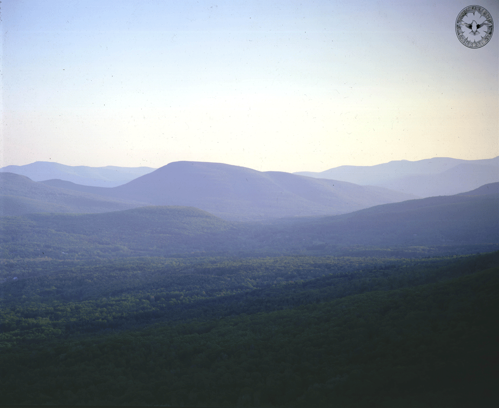 Bearville Valley, High Summer, from Overlook